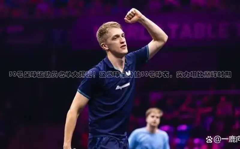 欧陆娱乐登录入口官网百度游戏30号足球运动员名单大揭秘！这些球星身披30号球衣，实力堪比巅峰时期