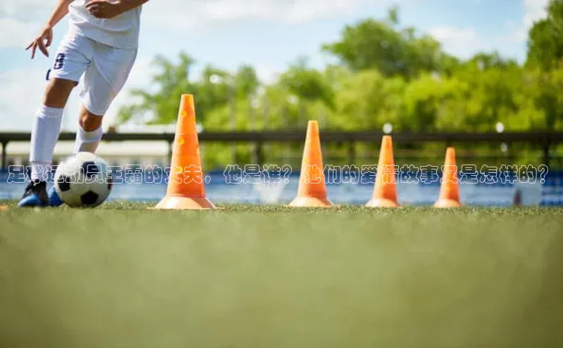 欧陆登录入口百度大脑足球运动员王霜的丈夫，他是谁？他们的爱情故事又是怎样的？