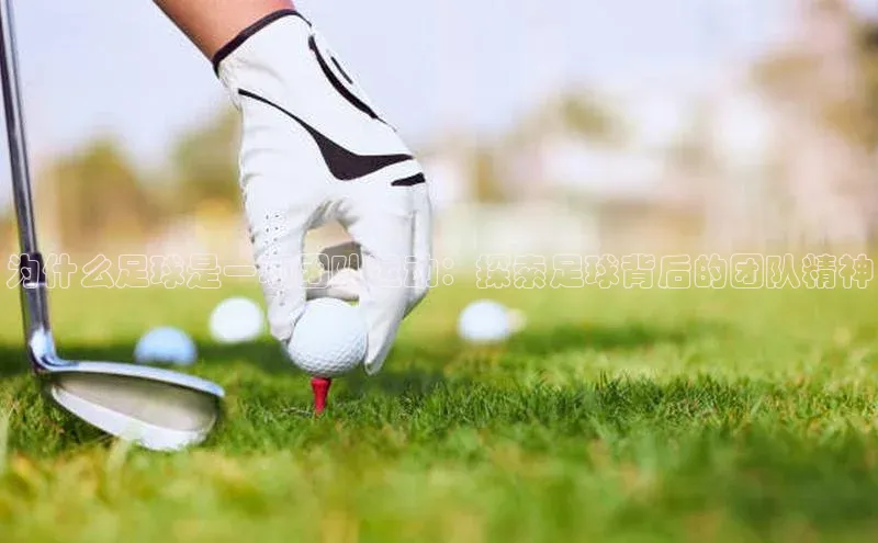 欧陆注册平台登录入口极氪智能科技为什么足球是一项团队运动：探索足球背后的团队精神