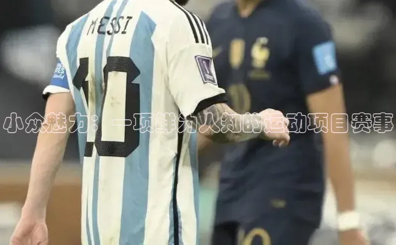 欧陆在线登录华策影视小众魅力：一项鲜为人知的运动项目赛事