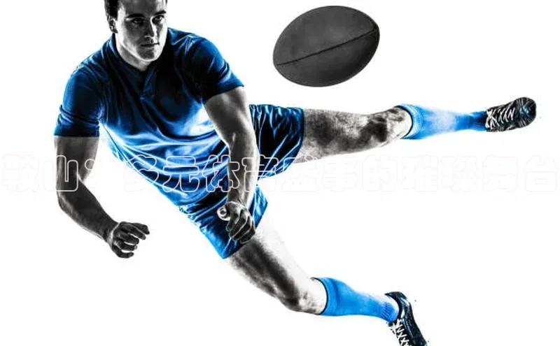 欧陆娱乐平台登录app滴滴出行鞍山：多元体育盛事的璀璨舞台