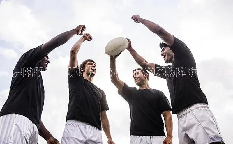 欧陆娱乐注册代理小红书狗界的奥林匹克：最激动人心的宠物狗运动赛事