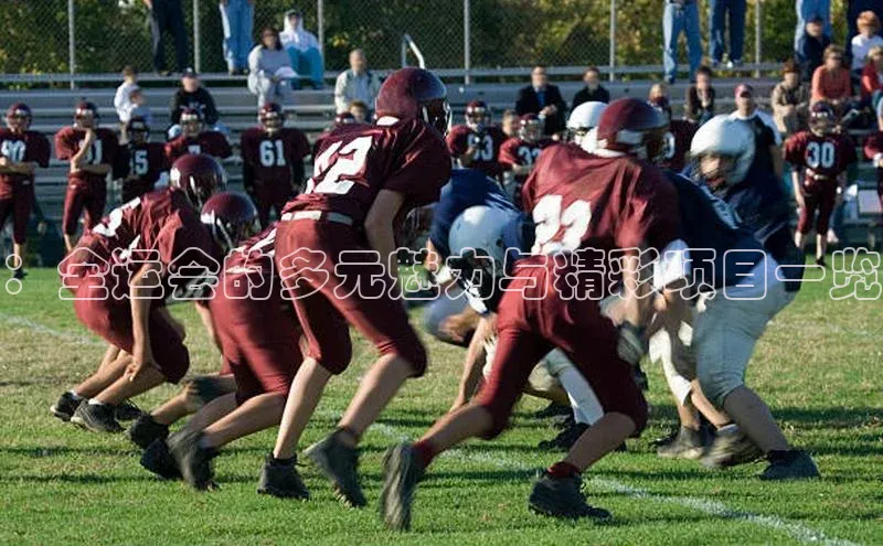 ：全运会的多元魅力与精彩项目一览