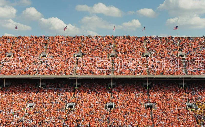 竞技盛宴：搏克运动赛事精彩回顾