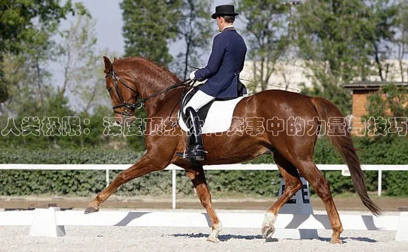 人类极限：深度顶级体育赛事中的力量与技巧