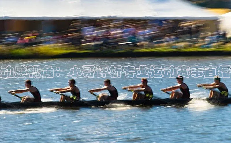 动感视角：小哥评析专业运动赛事直播