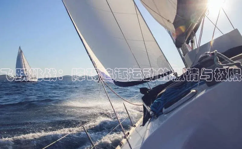 飞跃挑战：障碍追逐运动的激情与极限