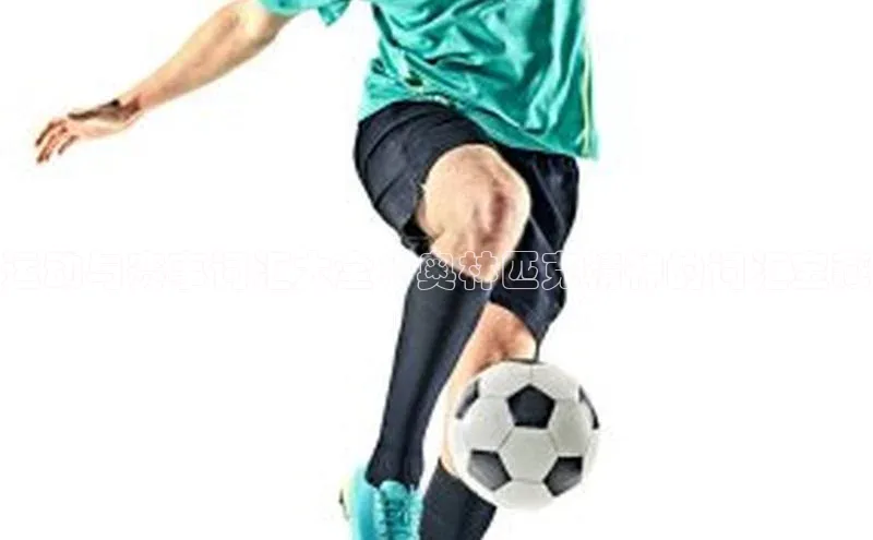 运动与赛事词汇大全：奥林匹克精神的词汇宝藏