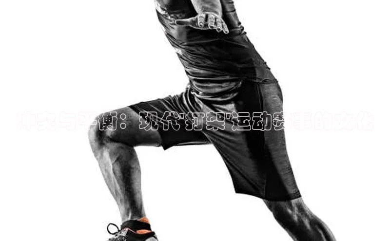 冲突与平衡：现代\'打架\'运动赛事的文化