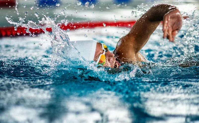 狗界的奥林匹克：一场充满活力与欢乐的狗狗运动会