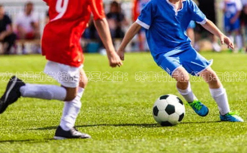 水上运动学校的冠军之路：赛事背后的故事与精神