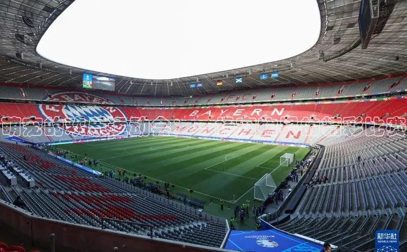 萌宠的欢乐运动会：一场宠物界的精彩比赛