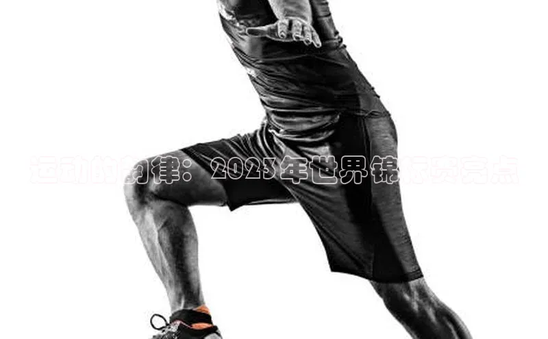 运动的韵律：2023年世界锦标赛亮点