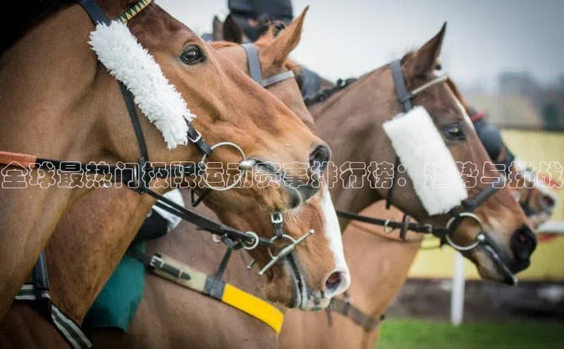 全球最热门极限运动赛事排行榜：趋势与挑战