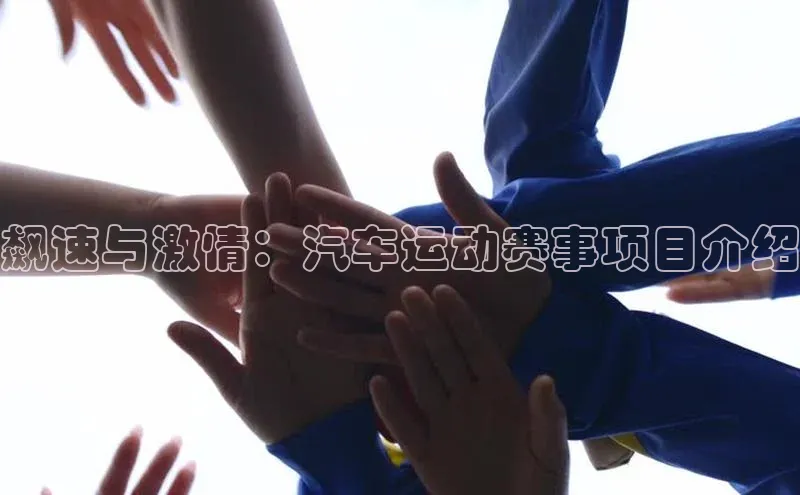 飙速与激情：汽车运动赛事项目介绍